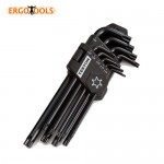 SET LLAVES TORX